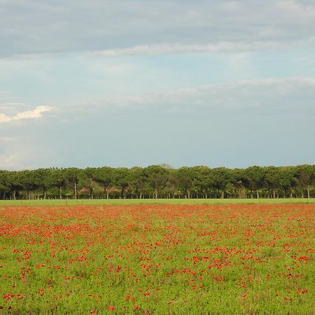 Appartamenti Mirella Бибионе Экстерьер фото